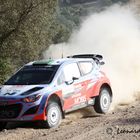 WRC 2015