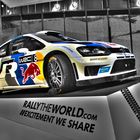 WRC-Champion-Polo