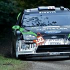 WRC france (Alsace)