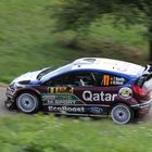 WRC Shakedown