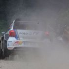 WRC-Weinberg-Action