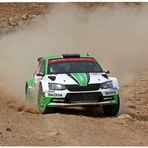 WRC2-Champions