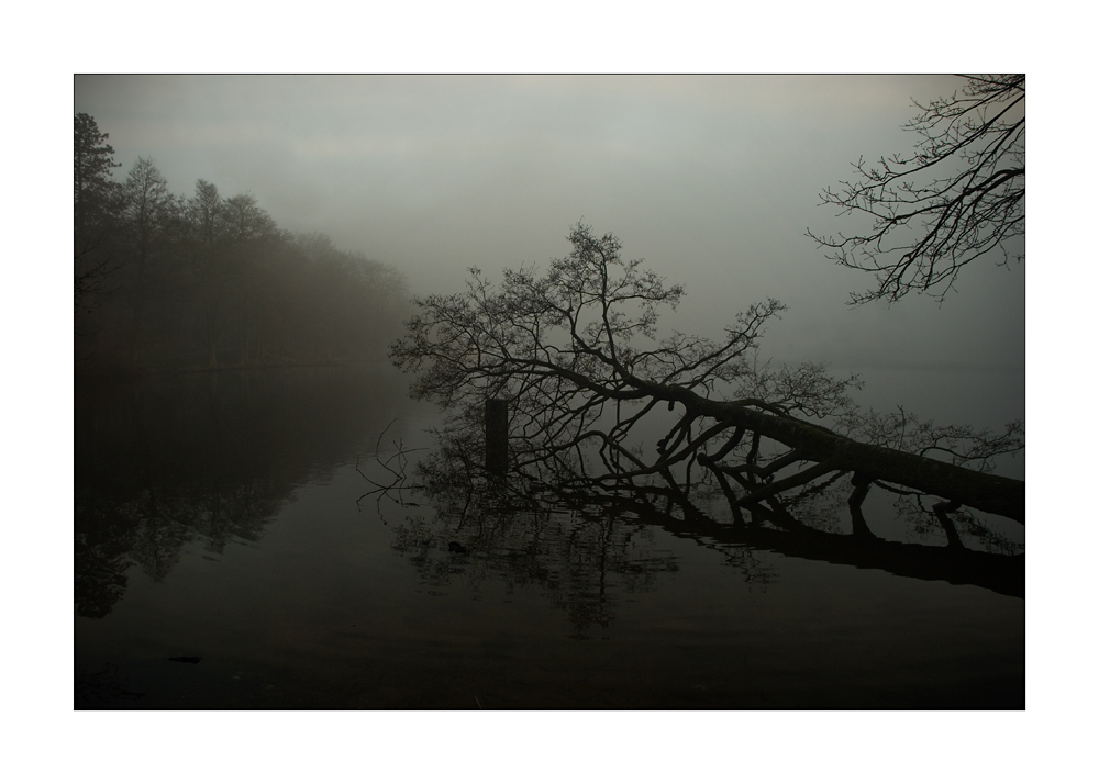 wreathed in mist