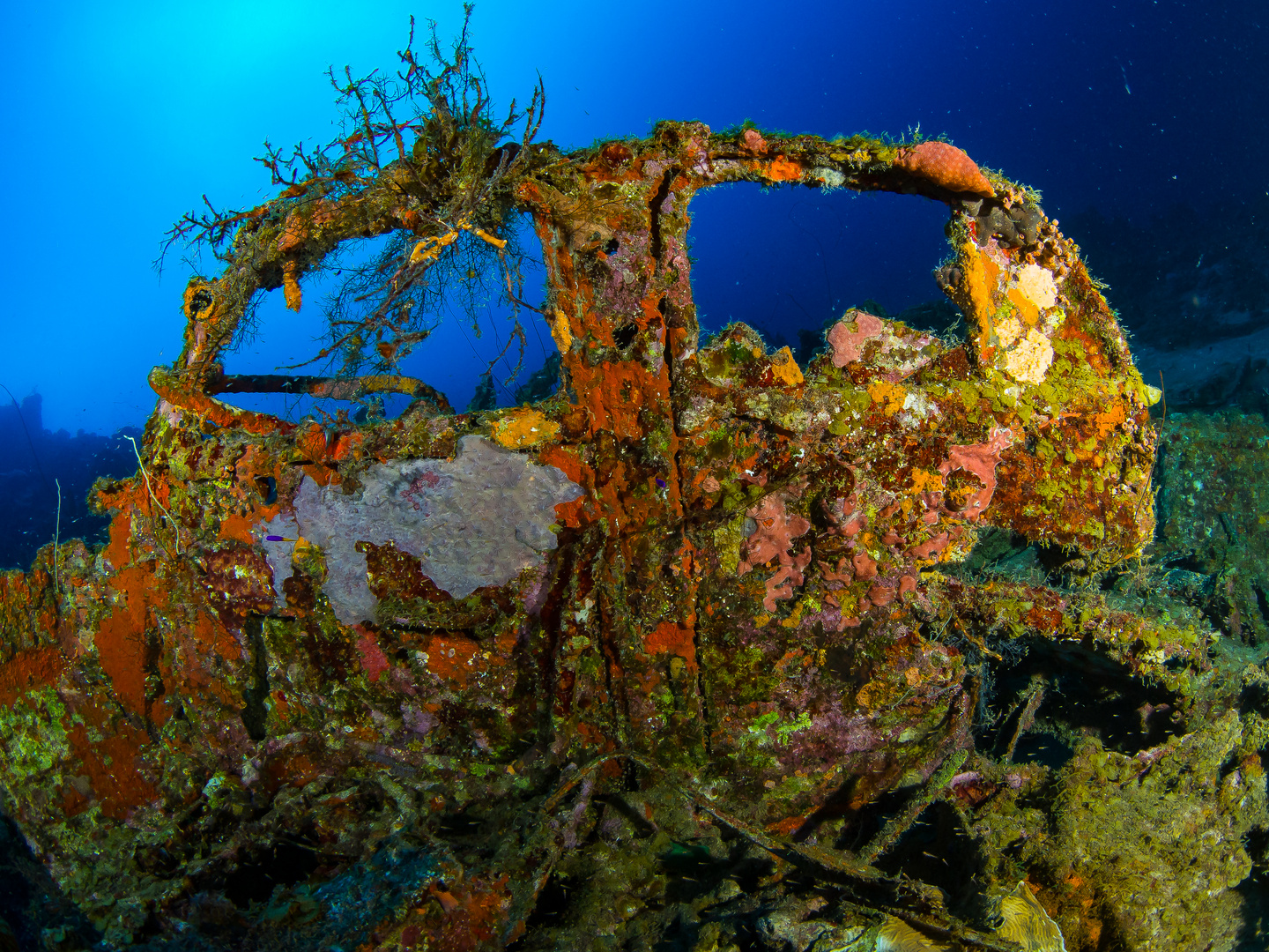 Wreck Diving Curacao