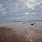 Wreck on a Falling Tide.