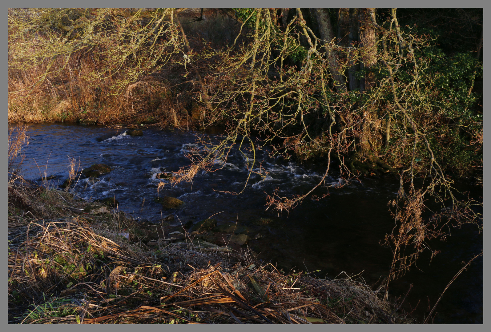 Wreigh Burn near thropton Northumberland