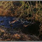 Wreigh Burn near thropton Northumberland