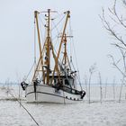 Wremen - ein Kutter fährt im Walde