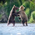 Wrestling Alaska Style