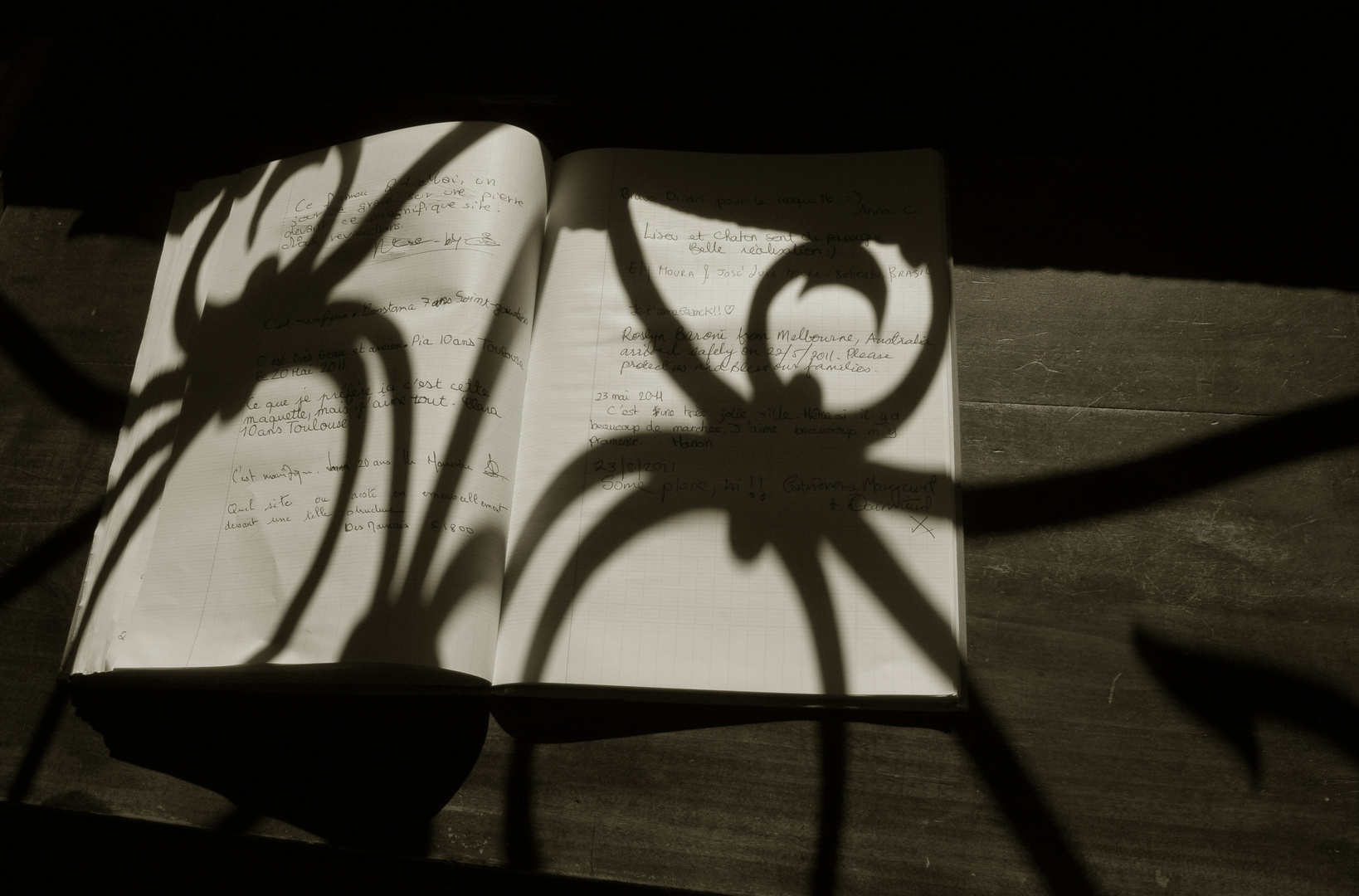 Writings of the spider