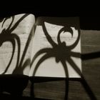 Writings of the spider