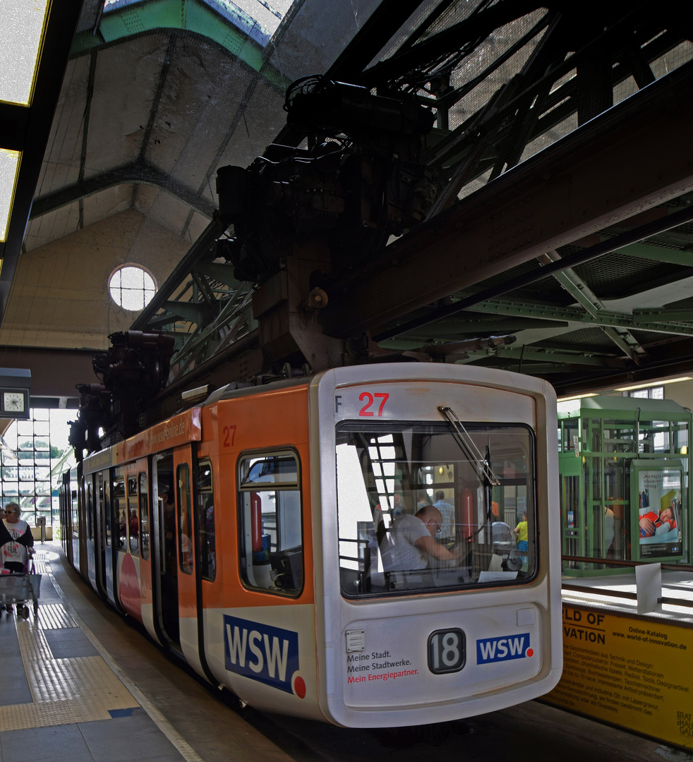 W'tal [888] Schwebebahn (126)