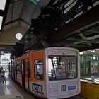 W'tal [888] Schwebebahn (126)