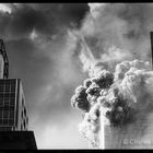 WTC Collapse 1