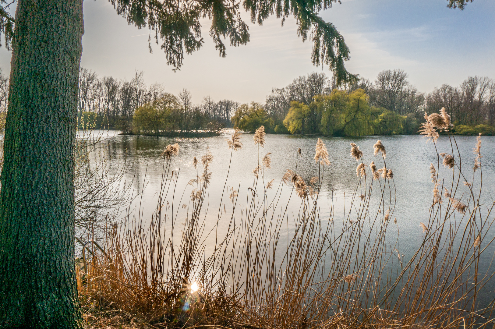 Wülfeler Maschteich I - Hannover