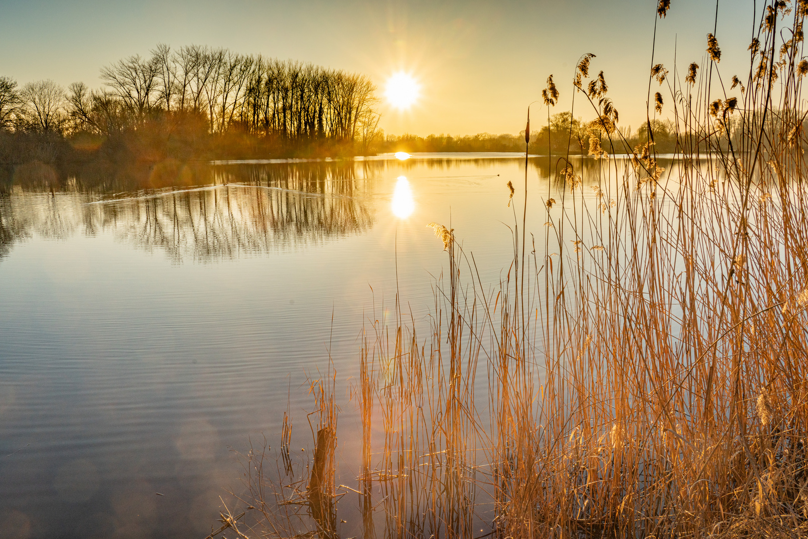 Wülfeler Teich I - Hannover