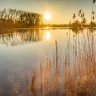 Wülfeler Teich I - Hannover