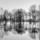 Wümme-Hochwasser bei Fischerhude