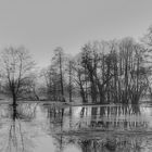 Wümme-Hochwasser bei Fischerhude