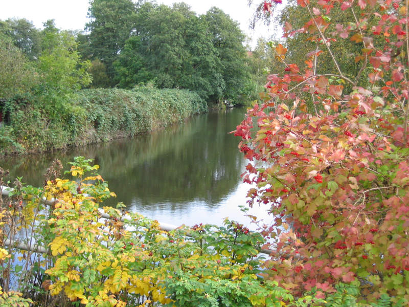 Wümme im Herbst