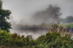 Wümme im Nebel