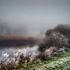 Wümme mit Schilfrohr-(Reet-)Ufer im Nebel