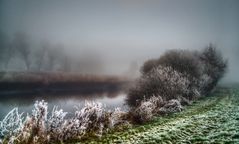 Wümme mit Schilfrohr-(Reet-)Ufer im Nebel