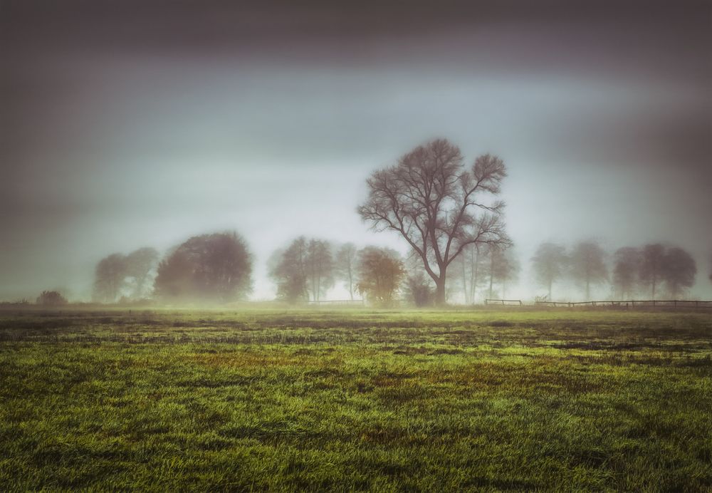 Wümme-Nebel