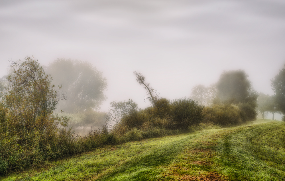 Wümmedeich im Nebel -