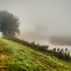 Wümmedeich im Nebel