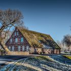 Wümmedeich im Niederblockland