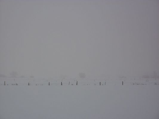 Wümmewiesen 2 - fade to gray