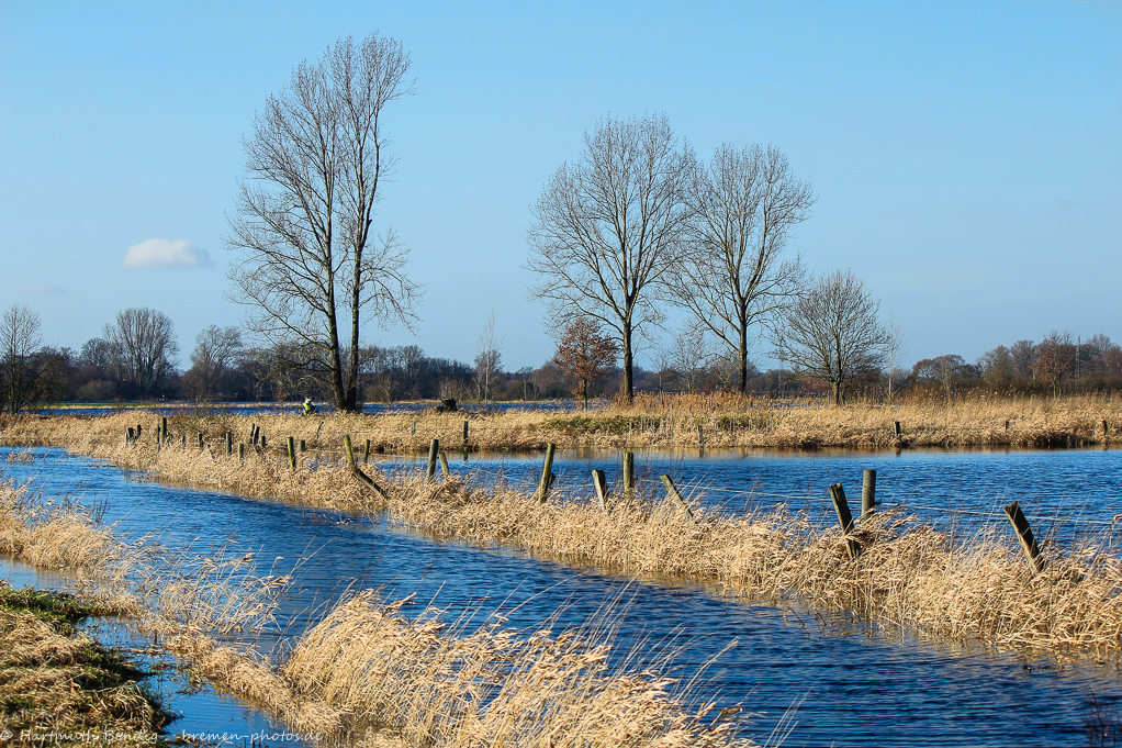 Wümmewiesen