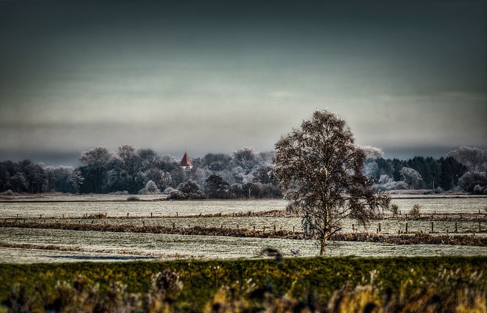 Wümmewiesen im Frost