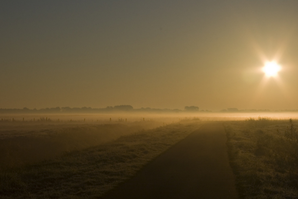 Wümmewiesen im Morgennebel