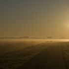 Wümmewiesen im Morgennebel