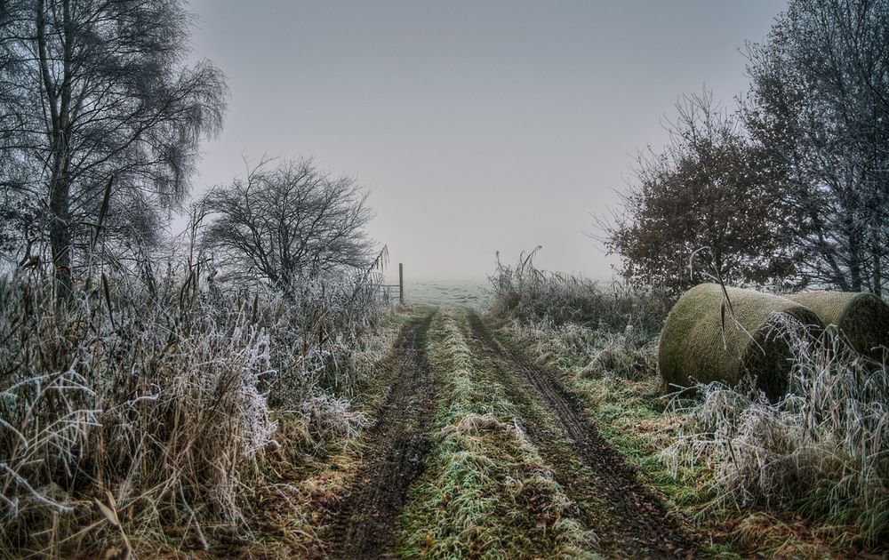 Wümmewiesen im Nebel