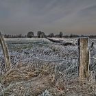 Wümmewiesen im Oberblockland