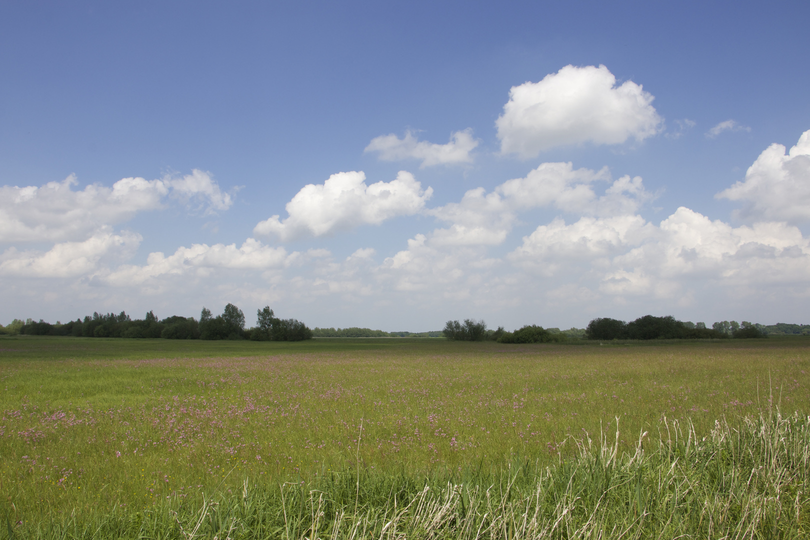 Wümmewiesen - Oberneuland, Bremen