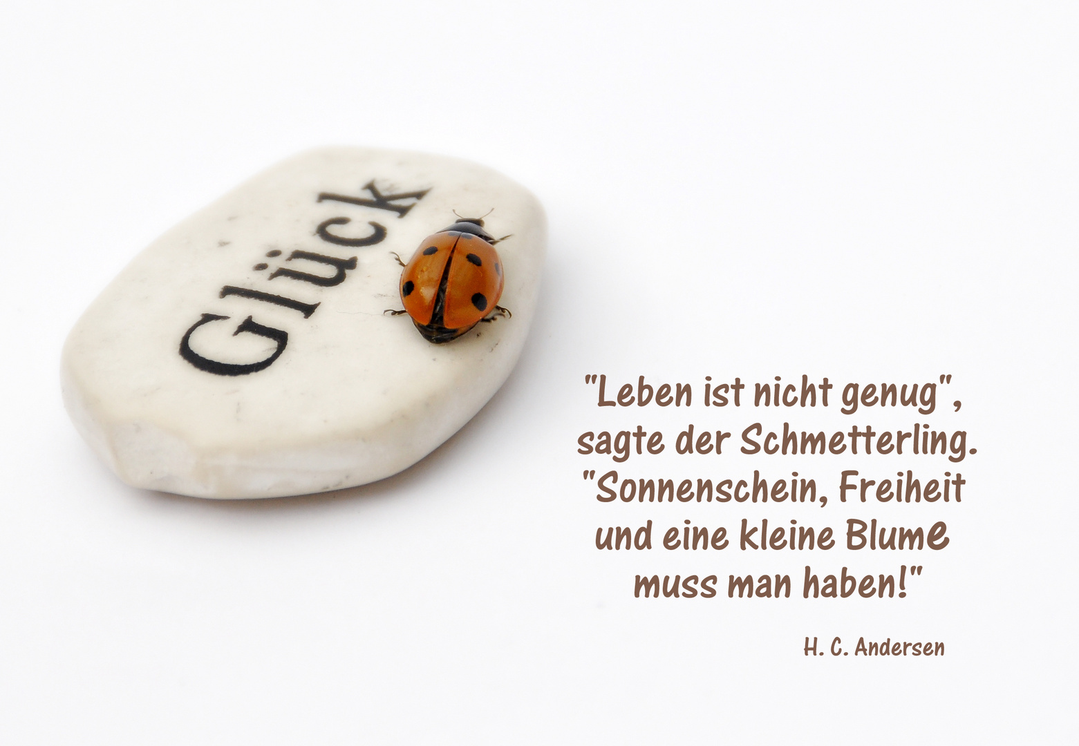 Wünsche Foto &amp; Bild | karten und kalender, glück, marienkäfer Bilder