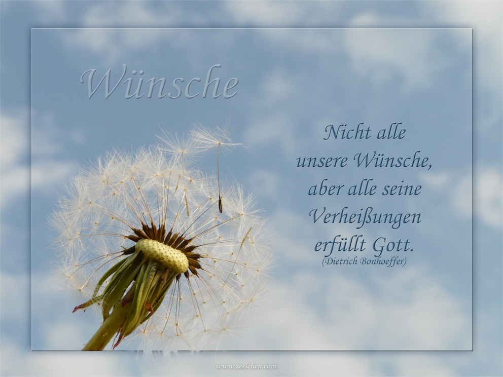 34++ Kleeblatt bilder mit spruch info