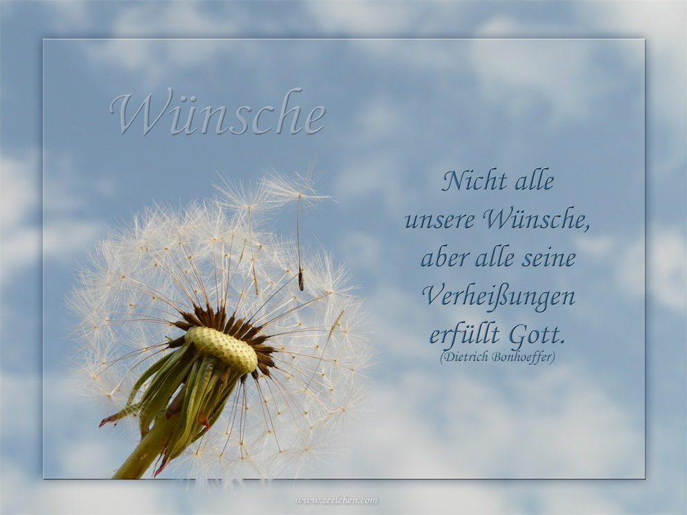 Wünsche Foto & Bild karten und kalender, spruchkarten, pusteblume