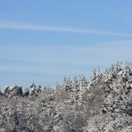 wünsche allen ein frohes Fest und ein gesundes 2012