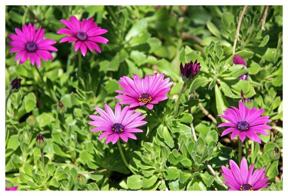 ...wünsche allen ein frohes Osterfest