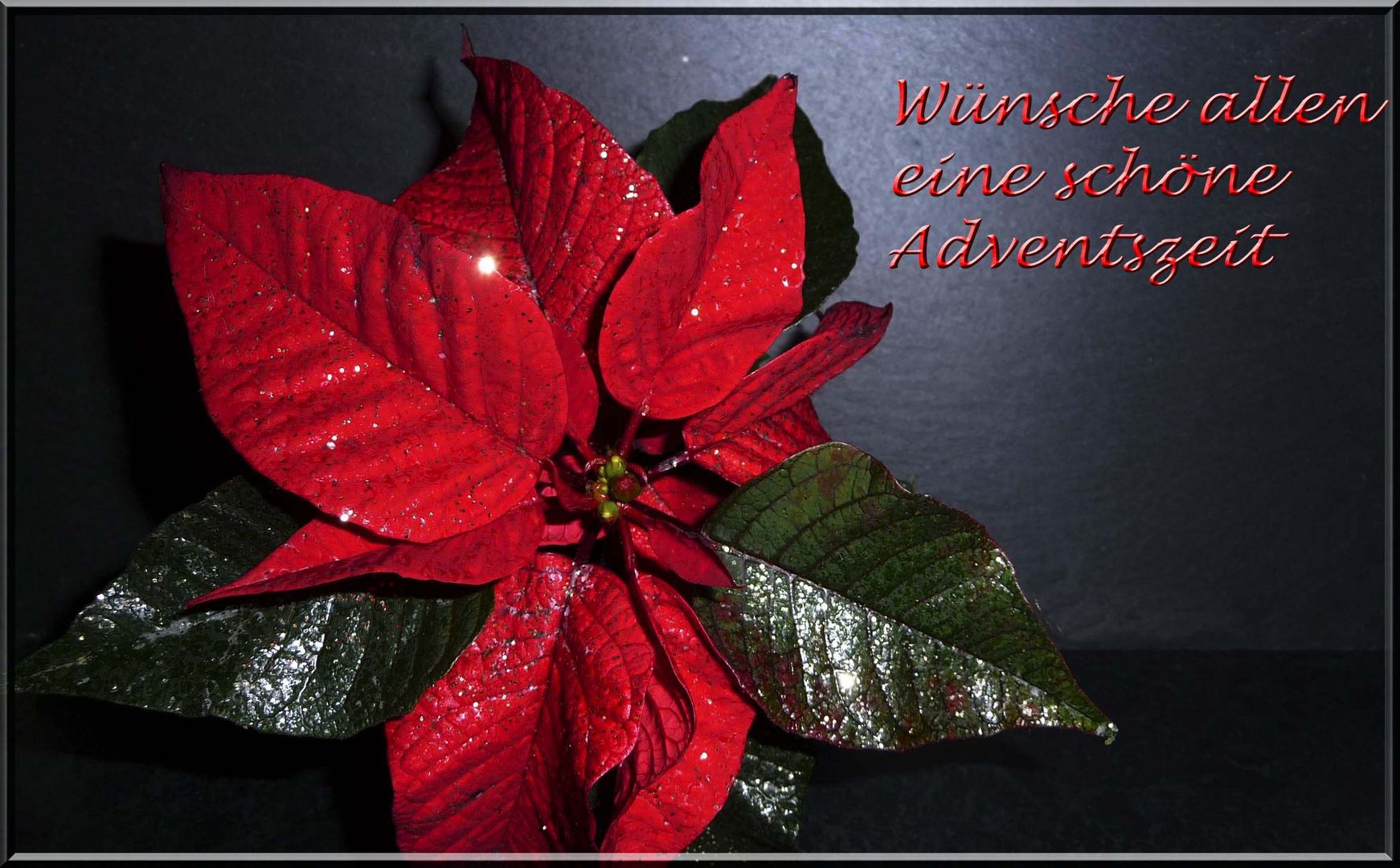 Wünsche allen eine schöne Adventszeit