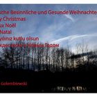 Wünsche Allen eine schöne und Besinnliche Weihnachtszeit