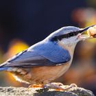 Wünsche allen einen schönen Sonntag