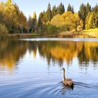 Wünsche allen einen wunderschönen und sonnigen Sonntag