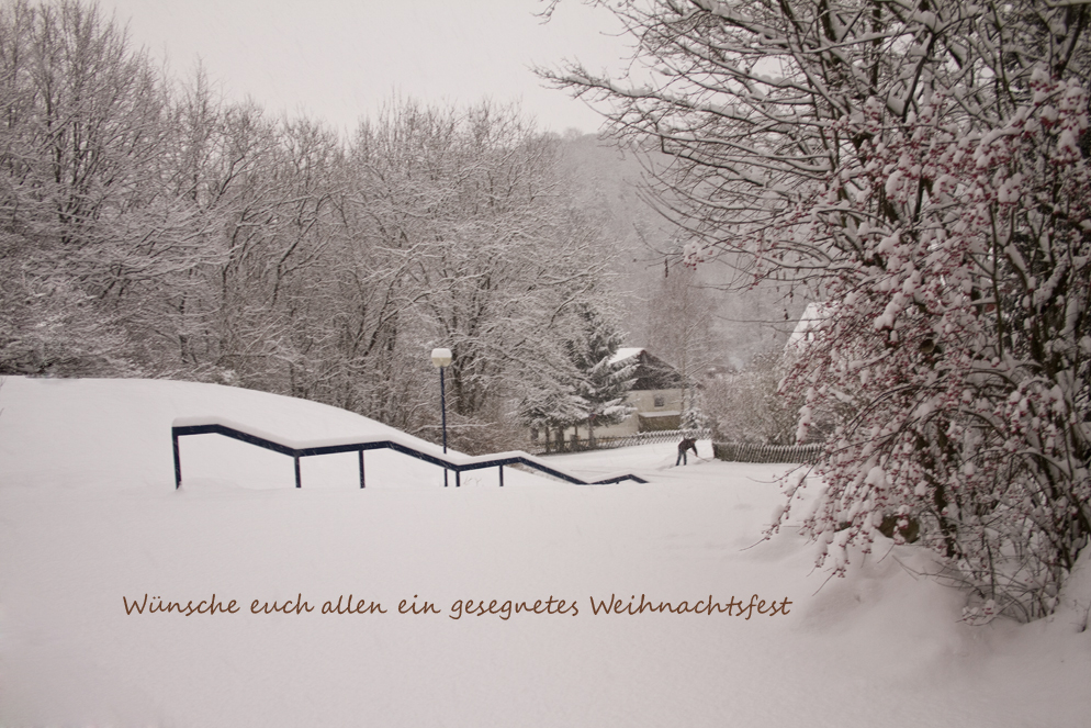 wünsche ein frohes und gesegnetes weihnachtsfest