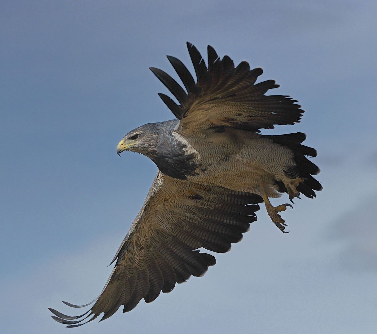 Wünsche einen guten Flug